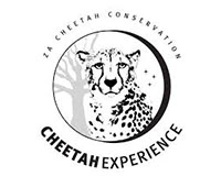 Cheetah Experience